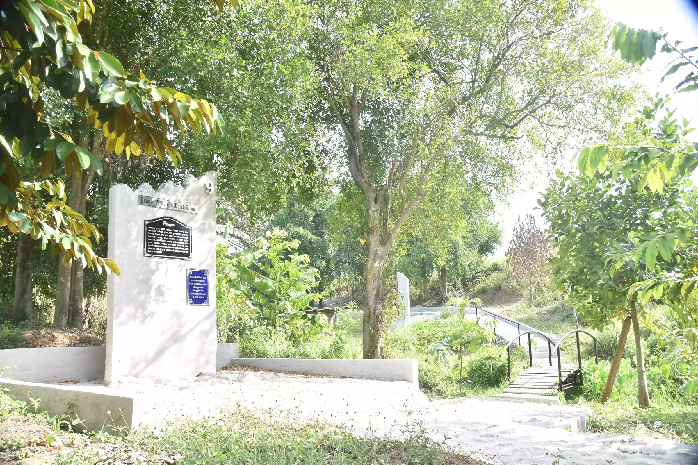 Station 9: Jesus Falls the Third Time - Stations of the Cross at Mt. Grona